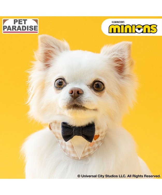 PET PARADISE ミニオン 首輪 《チェック柄》 ３Ｓ ベージュ