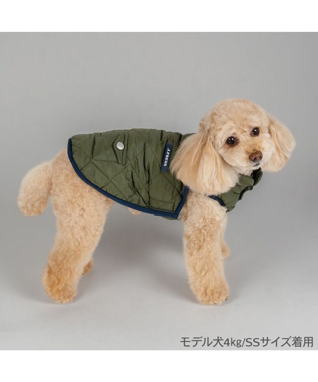 PET PARADISE J.PRESS ダイヤＳＴ 綿入ベスト 《カーキー》 小型犬 カーキ