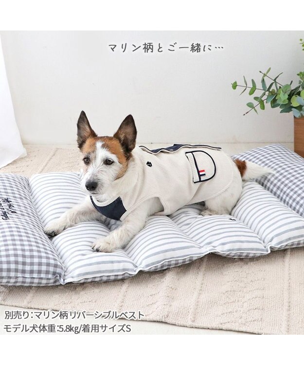 PET PARADISE ペットパラダイス ごろ寝マット 《マリン柄》 小型犬 マリン柄