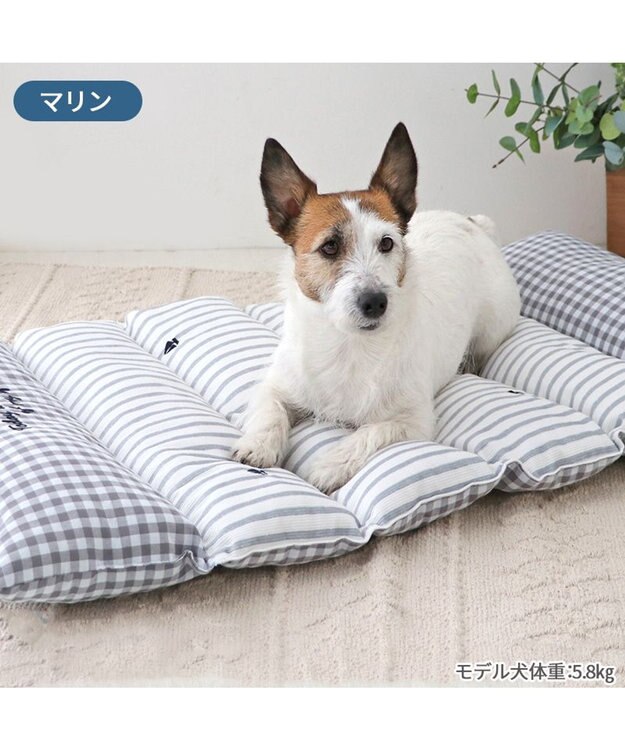 PET PARADISE ペットパラダイス ごろ寝マット 《マリン柄》 小型犬 マリン柄