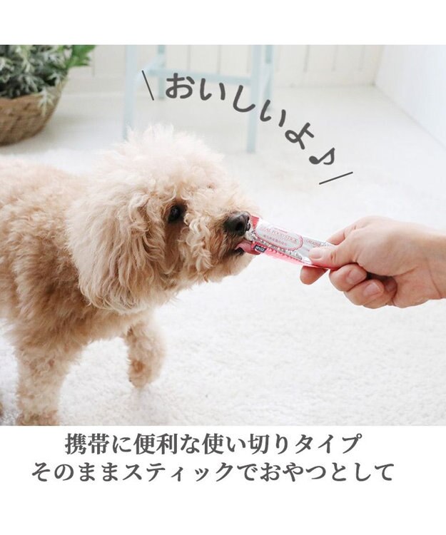 PET PARADISE リアルフードスティック 3種類アソートセット 10g×27本(プレーン9本・フローラケア9本・ロコモケア9本) 国産 -