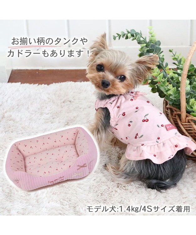 PET PARADISE 犬の服 犬 サニタリーパンツ 【小型犬】 チェリー柄 ピンク（淡）