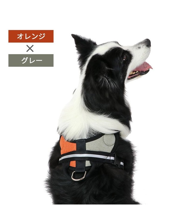 PET PARADISE ヘッドインハーネス  【Ｍ】オレンジ / ブルー 【中型犬 大型犬】 オレンジ×グレー