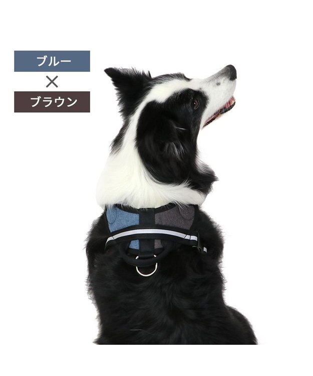 PET PARADISE ヘッドインハーネス  【Ｍ】オレンジ / ブルー 【中型犬 大型犬】 ブルー×ブラウン