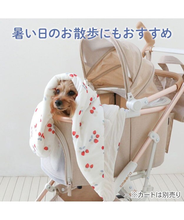 PET PARADISE ペットパラダイス もちっと クール ブランケット 《苺柄》 ホワイト×レッド