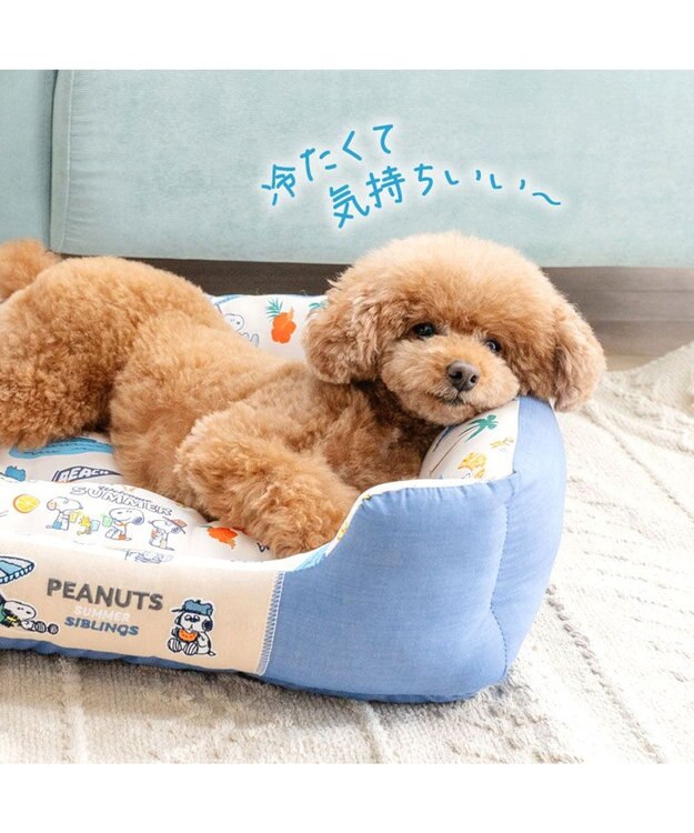 PET PARADISE スヌーピー クール 四角カドラー 《サマーバケーション柄》 Ｍ ホワイト×ブルー