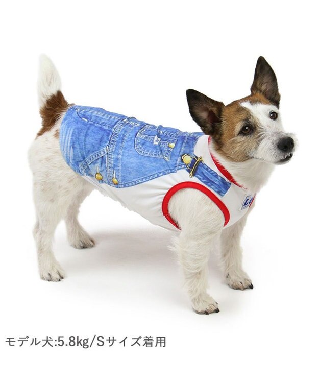 PET PARADISE Ｌｅｅ エコメイド 天竺 タンクトップ 《転写プリント》小型犬 ホワイト
