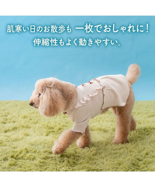PET PARADISE ペットパラダイス ミニリボン プレミアム ペティヒート ワンピース 小型犬 ベージュ