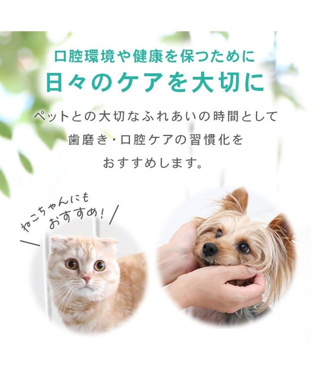 PET PARADISE ペットパラダイス デンタル ブラッシングジェル -