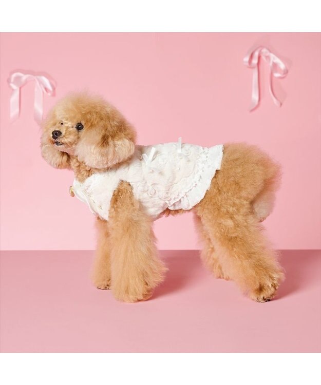PET PARADISE cherircouture パールリボン ベスト 《ホワイト》 小型犬 ホワイト