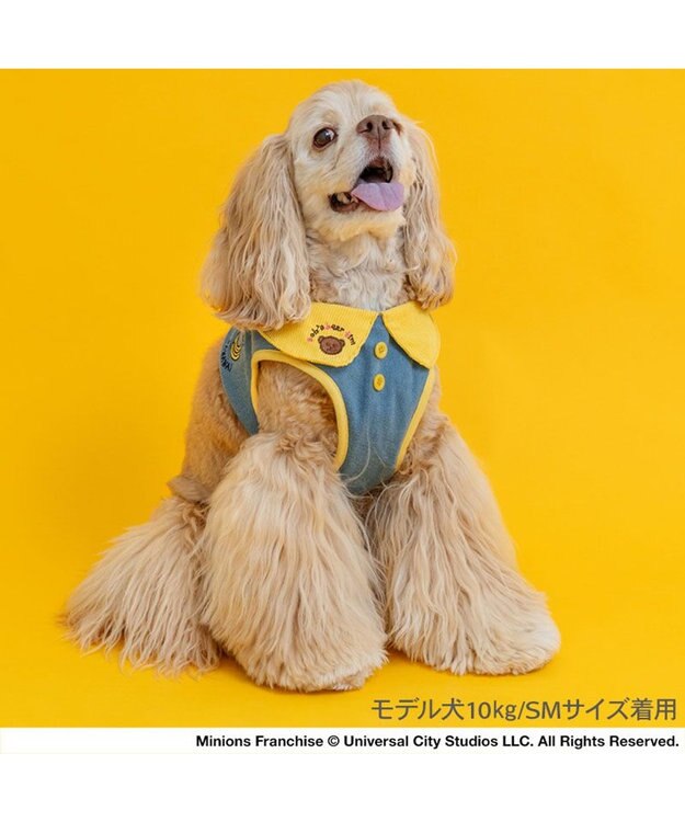 PET PARADISE ミニオン ベストハーネス ＳＭ ライトインディゴブルー×イエロー