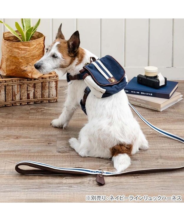PET PARADISE ペットパラダイス ネイビー ライン入り リード ＳＳ～Ｓ 小型犬 ホワイト×ネイビー