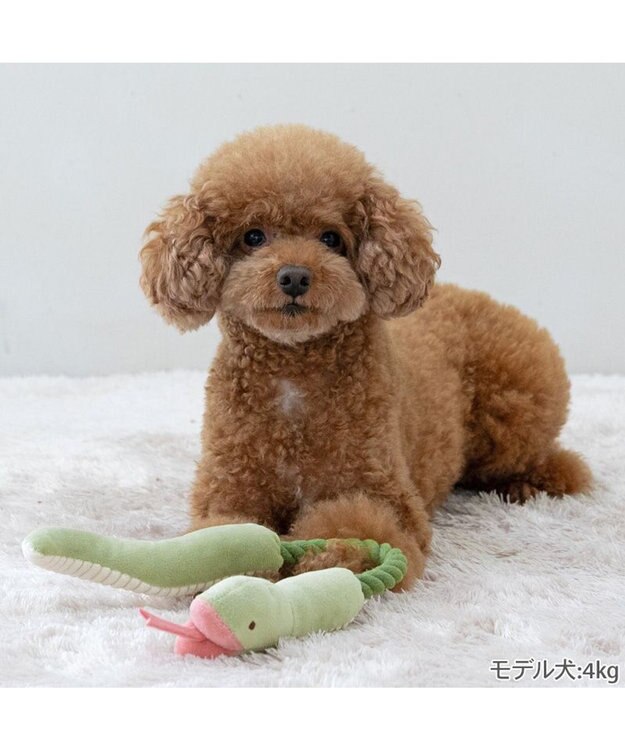 PET PARADISE ペットパラダイス 干支 へび ロープトイ グリーン