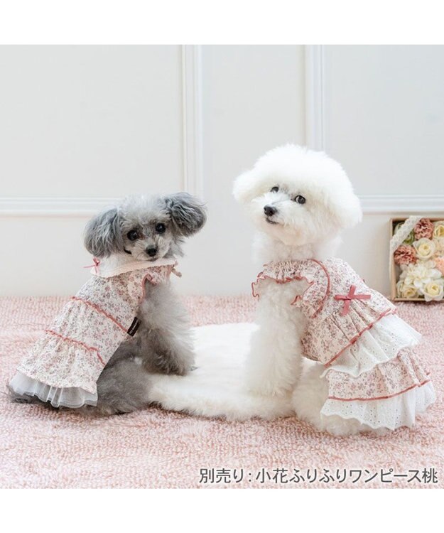 PET PARADISE ペットパラダイス レース襟 小花 ワンピース 小型犬 ライトピンク