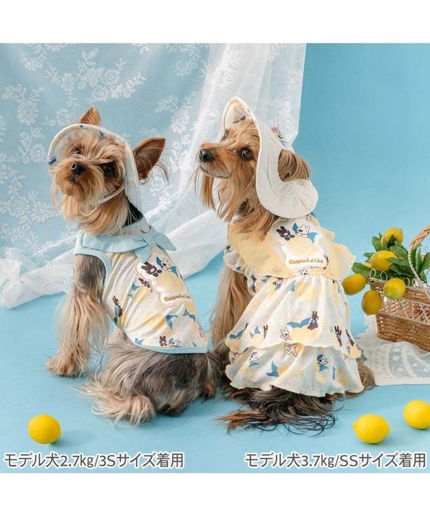 PET PARADISE リサとガスパール エコメイド シトラス ワンピース 小型犬 ホワイト×イエロー