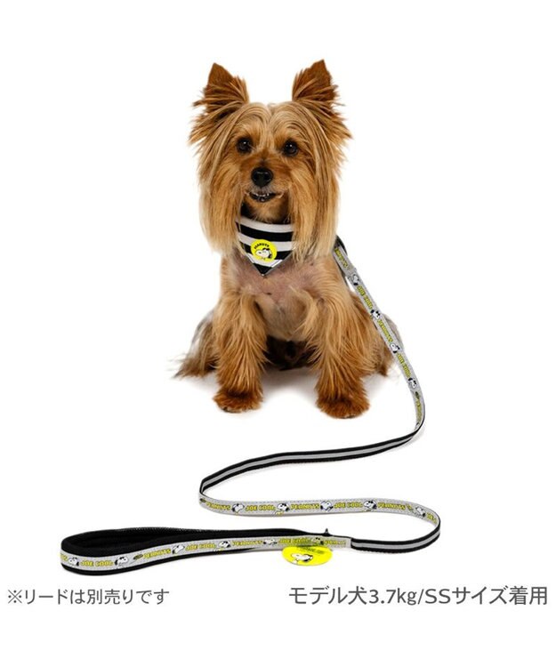 PET PARADISE スヌーピー ＪOE COOL 反射首輪 リーバシブル仕様 ＳＳ ホワイト×グレー