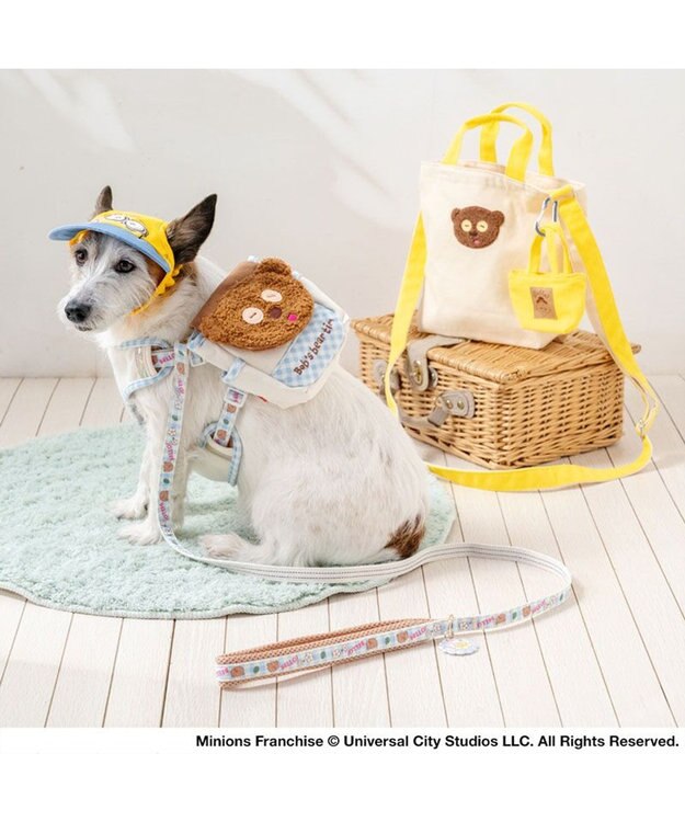 PET PARADISE ミニオン ティム お花柄 リード ＳＳ～Ｓ ブルー