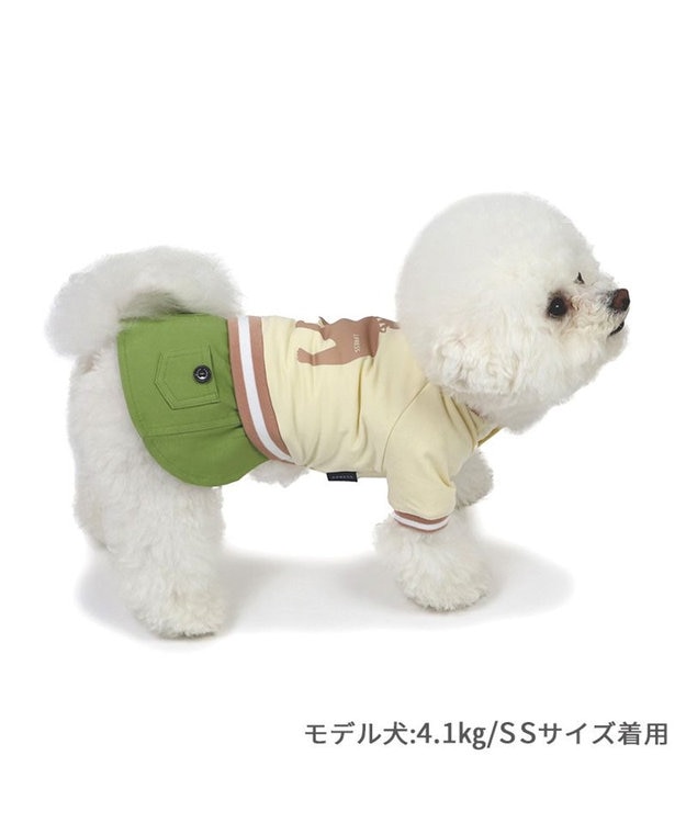 PET PARADISE J.PRESS バックブルドッグ スカートつなぎ 小型犬 ホワイト