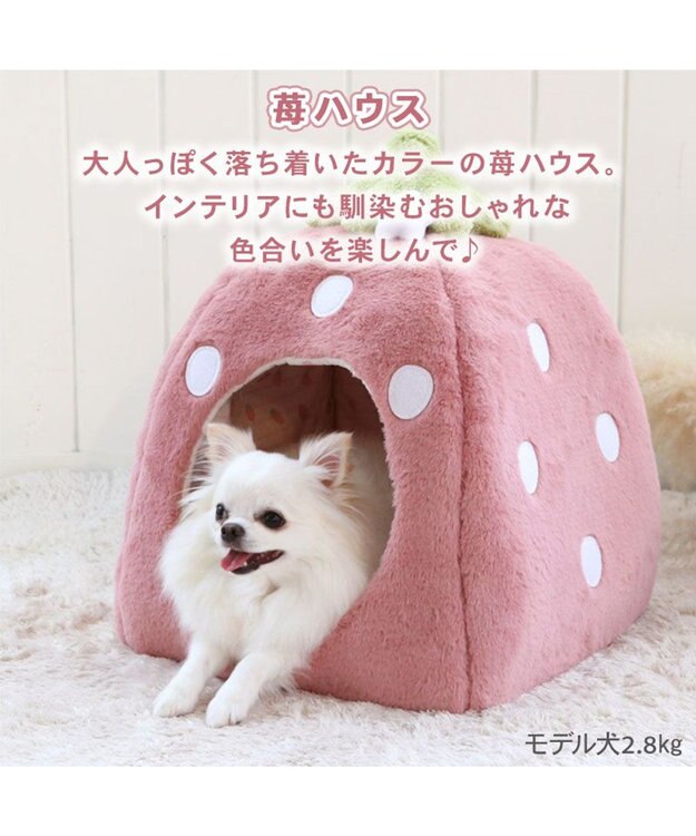 PET PARADISE ペットパラダイス くすみ苺 ハウス M (38×38×40cm) 超小型犬 ピンク