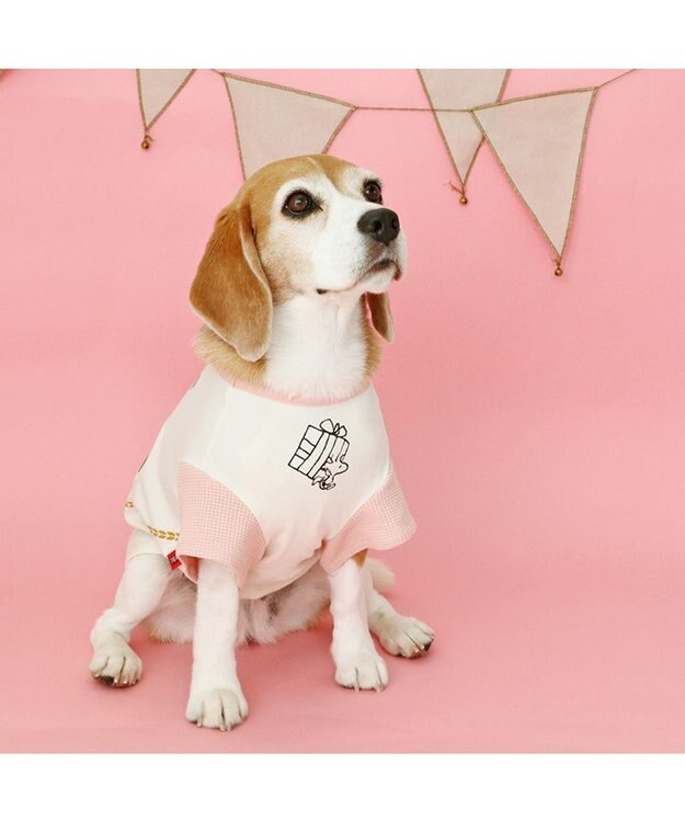 PET PARADISE スヌーピー バースデーＴシャツ 中型犬 白~オフホワイト