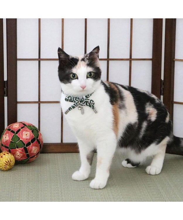 PET PARADISE ペットパラダイス 和むすび 猫首輪  《緑》 小 / 中 緑