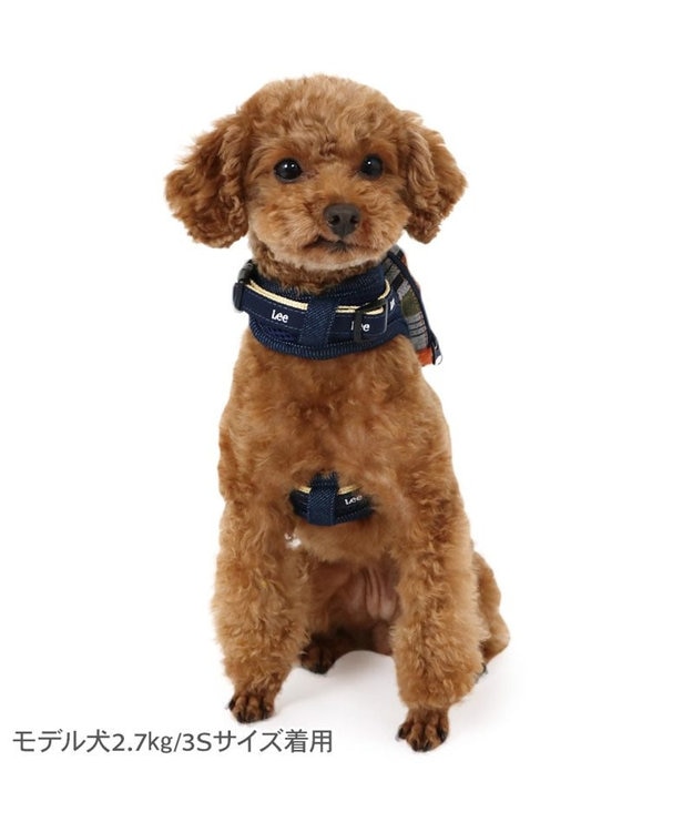 PET PARADISE Lee ポケットハーネス 《チェック柄》 ＳＳ～Ｓ 小型犬 オレンジ