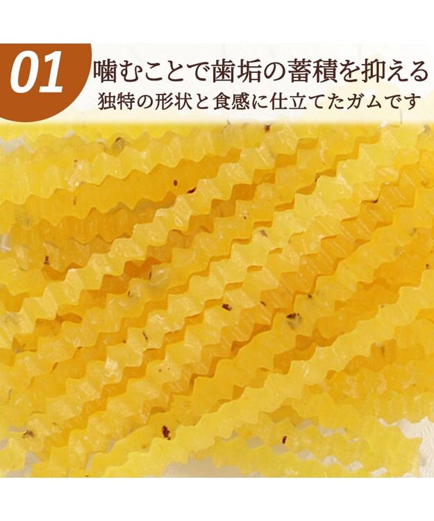 PET PARADISE デンタルガム さつまいも 100g 国産 -