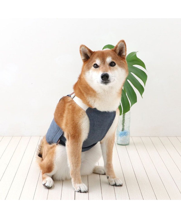 PET PARADISE ペットパラダイス ポケットクール ベスト 《オーバーオール風》 中型犬 大型犬 インディゴブルー