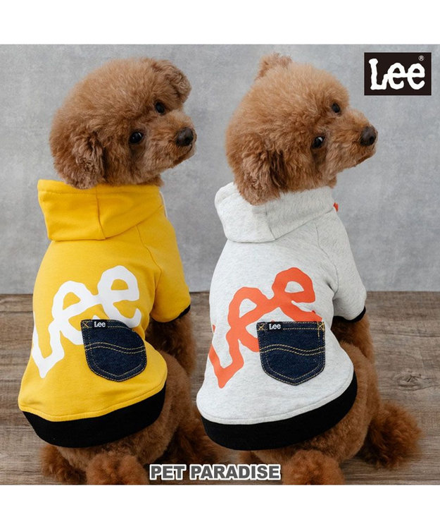 PET PARADISE Lee ビッグ ロゴ パーカー 《グレー》 小型犬  グレー