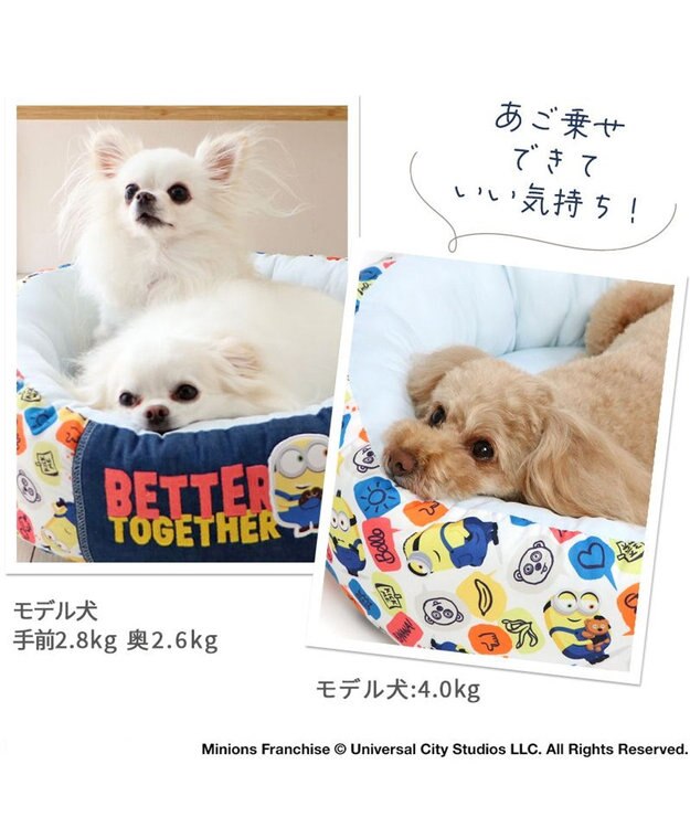 PET PARADISE ミニオン ふきだし柄 接触冷感 クール カドラーベッド《丸型》（55cm） マルチカラー