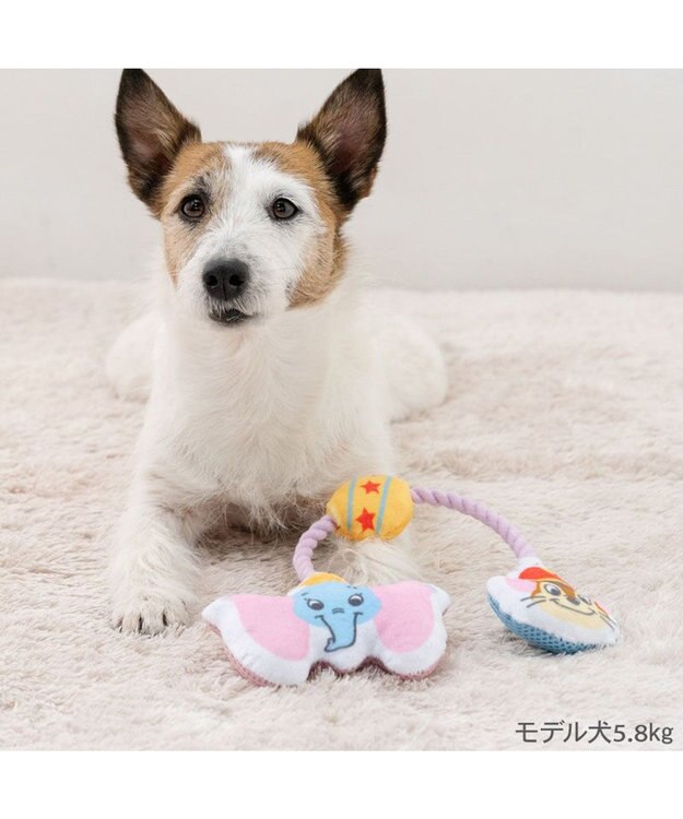 PET PARADISE ディズニー ダンボ ＆ティモシー  ロープトイ その他