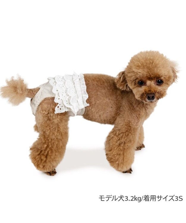 PET PARADISE ペットパラダイス レースフリル サニタリーパンツ ホワイト
