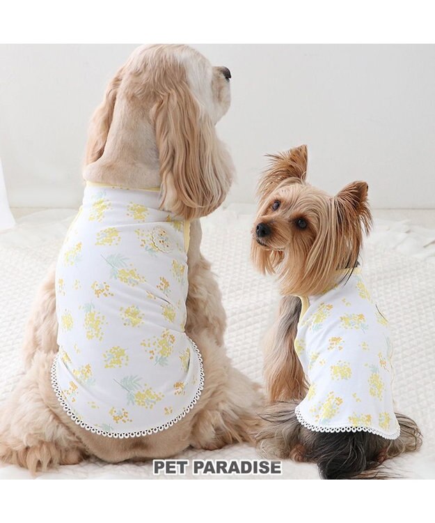 PET PARADISE ペットパラダイス はじめてタンクトップ 《ミモザ柄》 中型犬 大型犬 ミモザ柄
