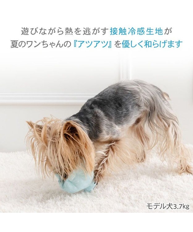 PET PARADISE ペットパラダイス 貝殻 クール トイ ブルー