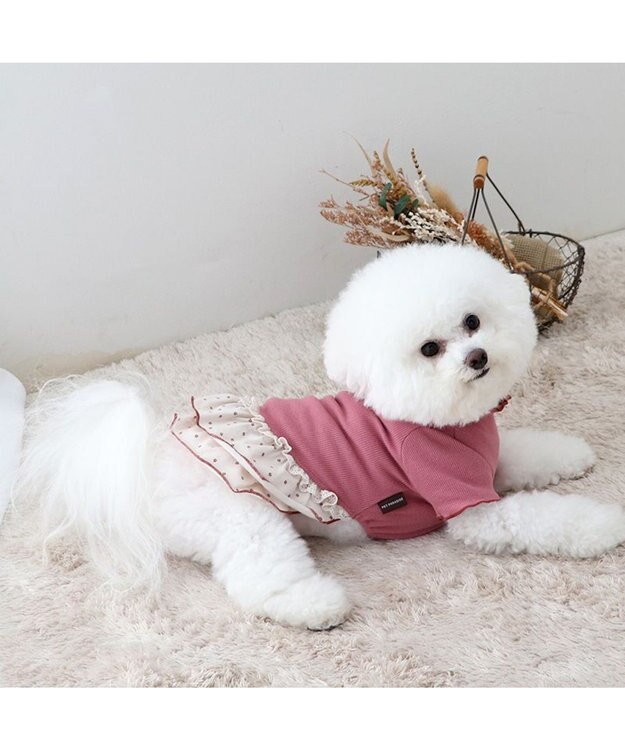 PET PARADISE ペットパラダイス ペティヒート プレミアム  ワンピース 《花ボタン柄》 小型犬 花ボタン柄