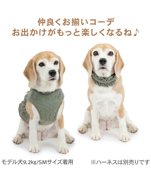PET PARADISE ペットパラダイス ペタルオリーブ首輪 ＳＭ カーキ