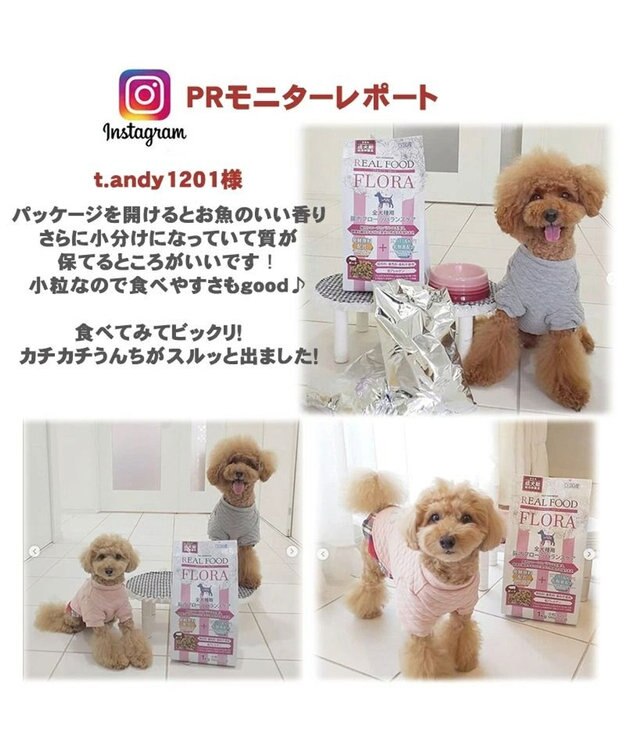 PET PARADISE ペットパラダイス  国産 ドッグフード フローラ3kg -