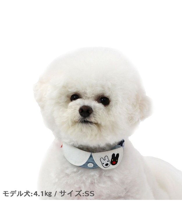 PET PARADISE リサとガスパール  襟付き 首輪《であい柄》 ３Ｓ 小型犬 -