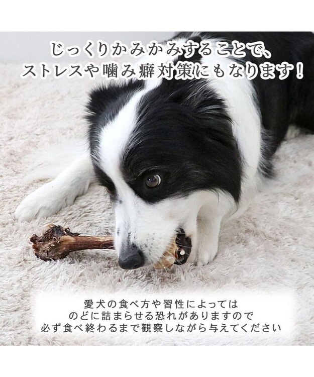PET PARADISE ≪数量限定≫  鹿 げん骨 デンタルおやつ Mサイズ×2本 純国産 鹿 げん骨