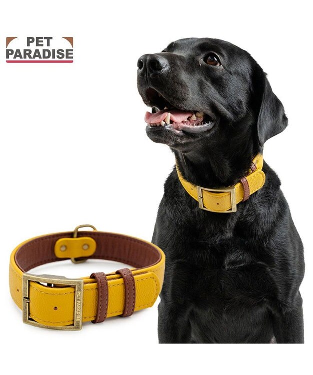 PET PARADISE ペットパラダイス ソフトレザー首輪 《マスタードイエロー》 Ｌ マスタードイエロー