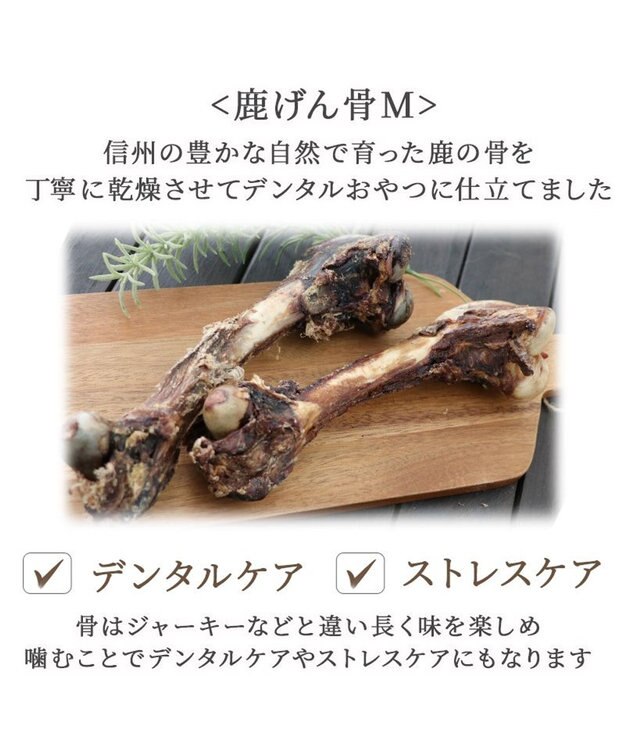 PET PARADISE ≪数量限定≫  鹿 げん骨 デンタルおやつ Mサイズ×2本 純国産 鹿 げん骨