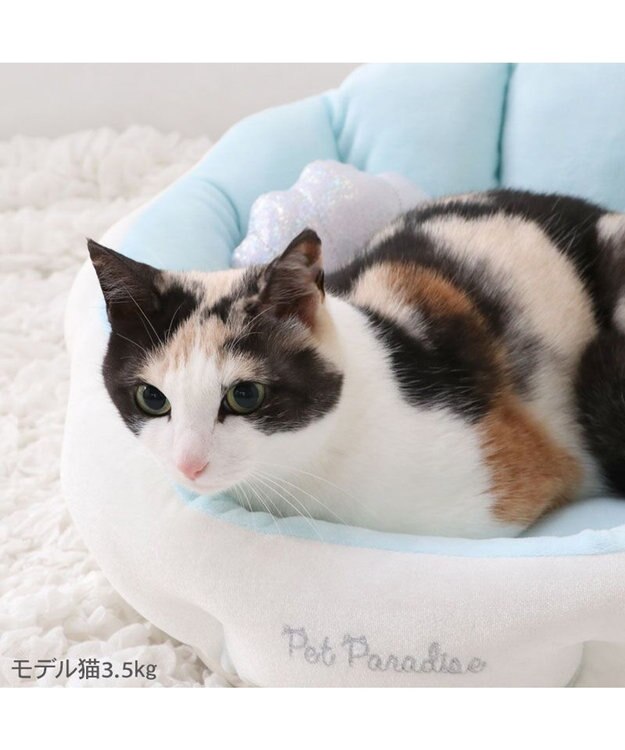 PET PARADISE ペットパラダイス シェル カドラー ホワイト