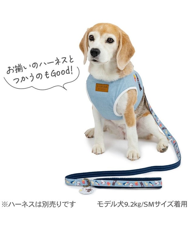 PET PARADISE リサとガスパール 刺繍柄 リード ＳＭ ブルー