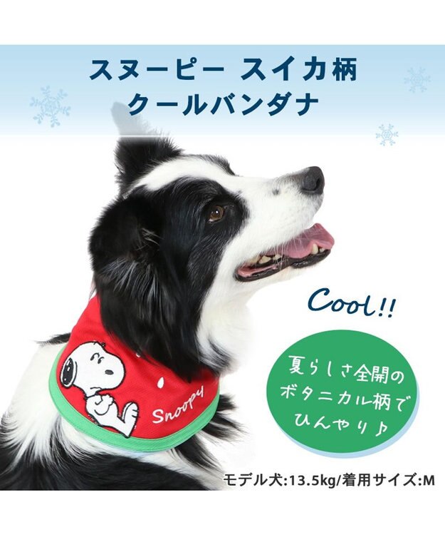 PET PARADISE スヌーピー スイカ柄 クールネック バンダナ 《保冷剤付き》【中型犬】【大型犬】 赤