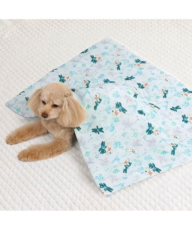 PET PARADISE リサとガスパール もちっと クール ブランケット 《海草柄》 ライトブルー
