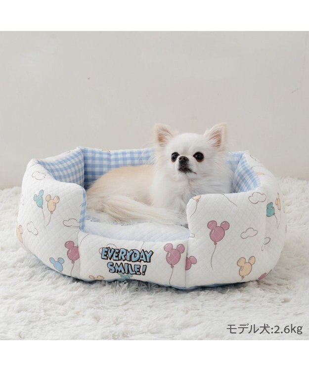 PET PARADISE ディズニー ミッキーマウス カドラー 《風船柄》Ｓ 50×38cm ホワイト×ブルー