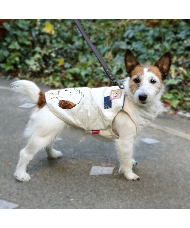 PET PARADISE スヌーピー 背中開き ベスト 《兄弟柄》 小型犬 ホワイト