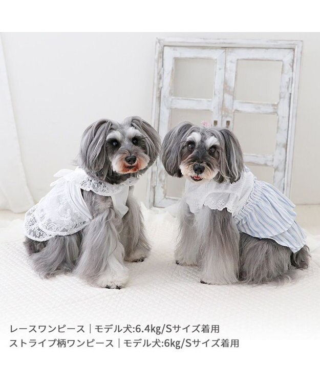 PET PARADISE ペットパラダイス レースワンピース 小型犬 ホワイト