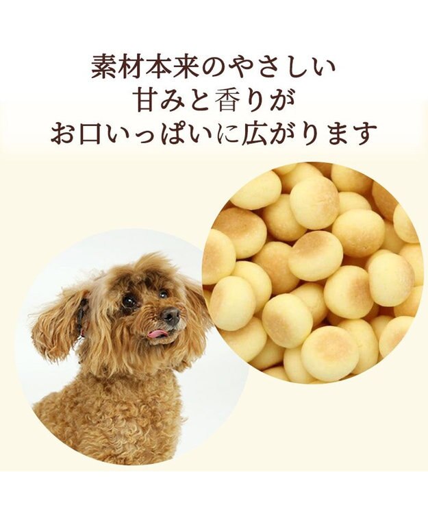 PET PARADISE 犬用 かぼちゃ入り ボーロ 小袋 80ｇ 0