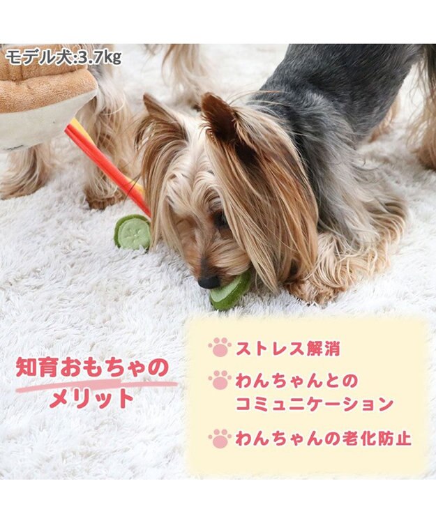 PET PARADISE 犬 おもちゃ 知育 ノーズワーク サンドイッチ  トイ ＴＯＹ 0